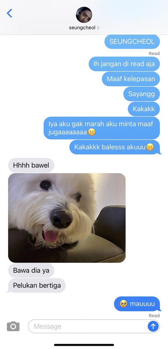 bawel tapi sayang #cheolzyo