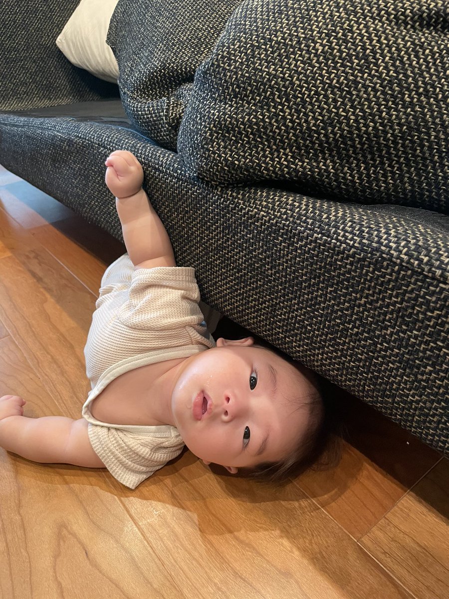 yoyottu's tweet photo. なんで赤ちゃんってソファの下に潜りたがるんだろう。。 https://t.co/eCWckYLiU9