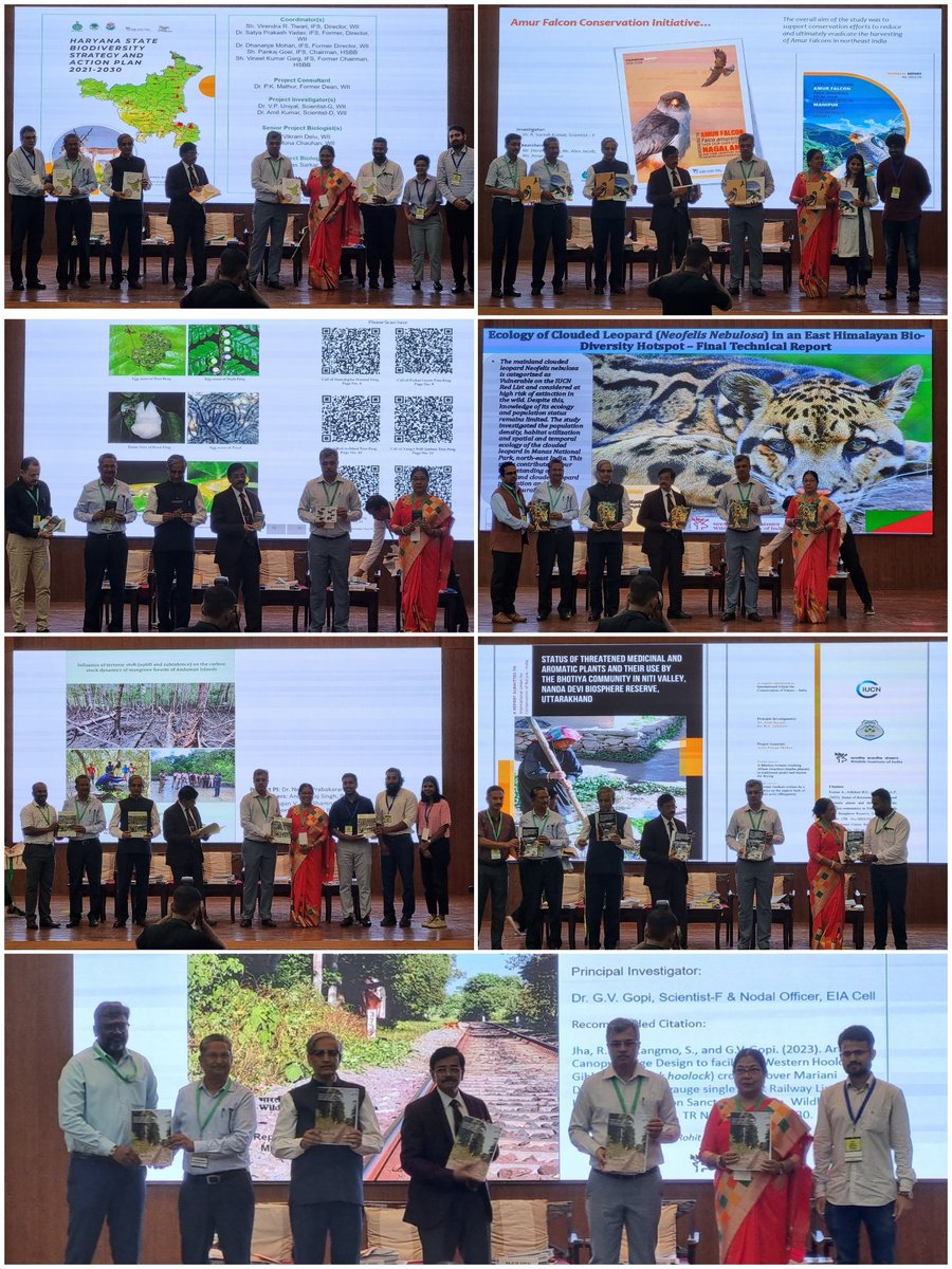 Wildlife Institute of India tweet media