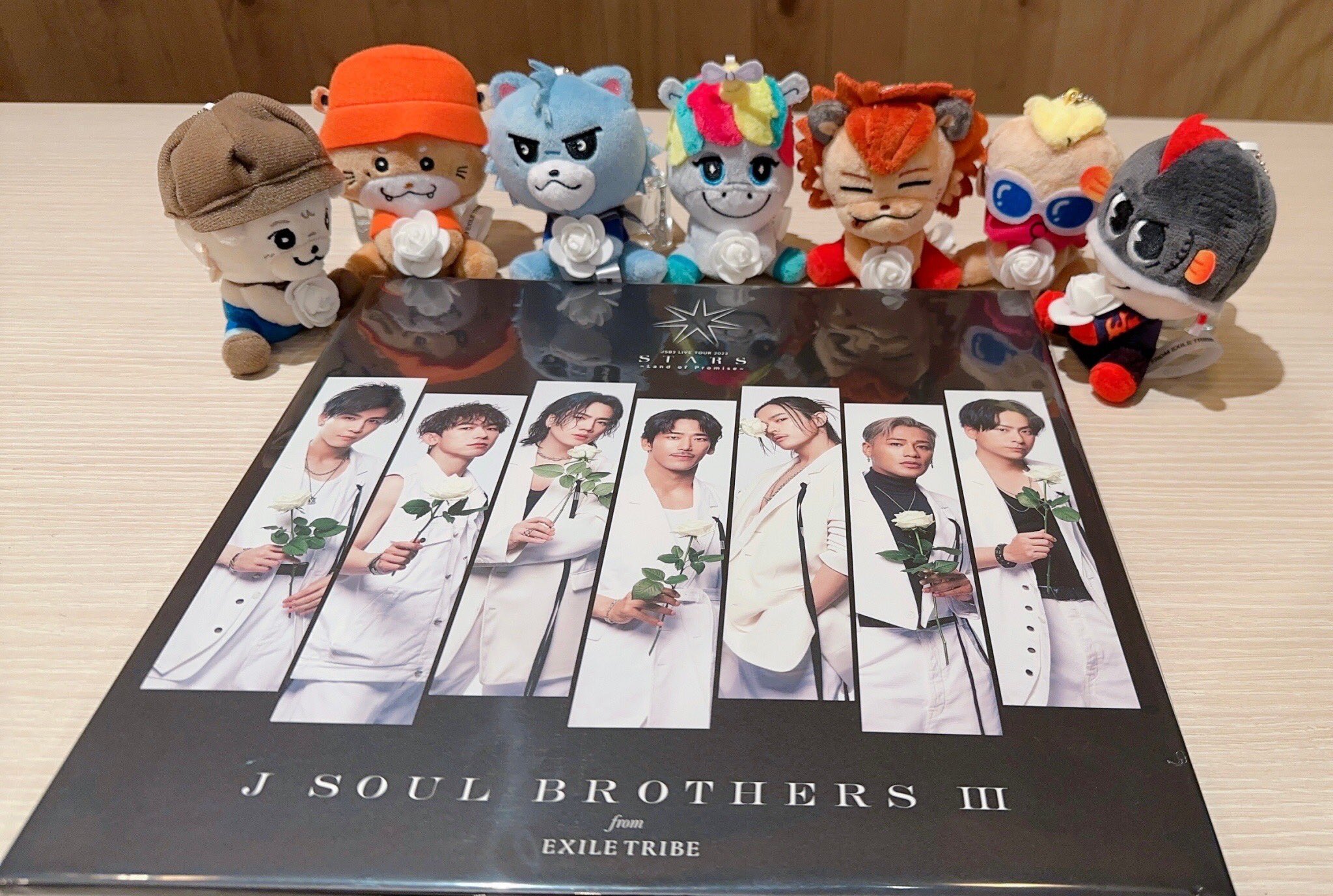 三代目J Soul Brothersぬいぐるみ14個セット 三代目J Soul Brothersぬいぐるみ14個セット