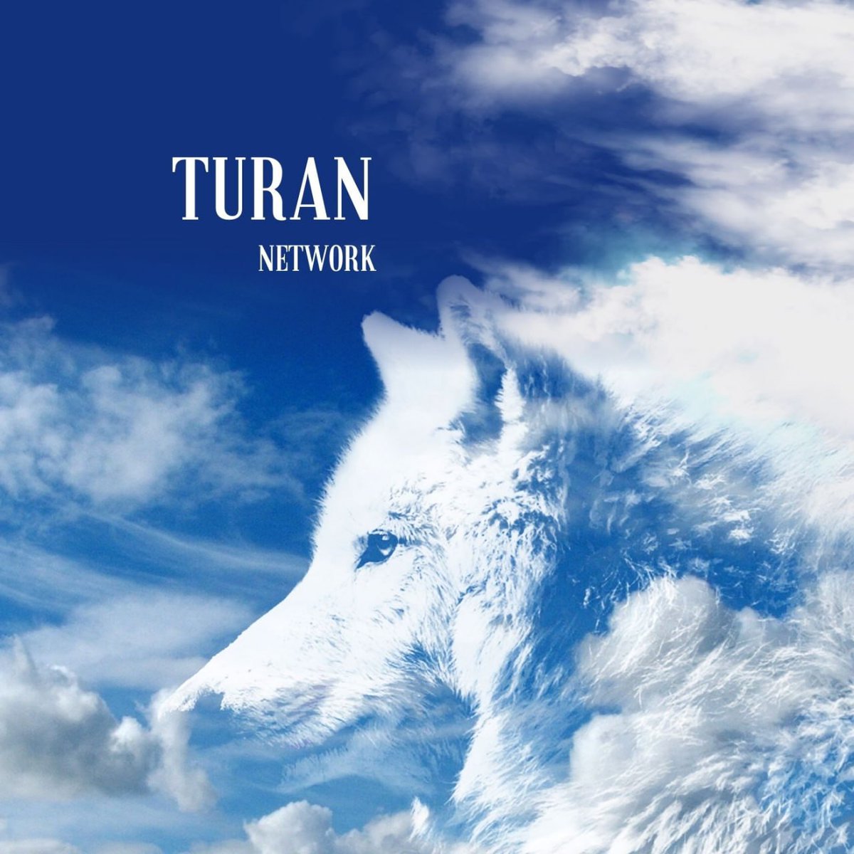 hawkjose80's tweet photo. #turannetwork https://t.co/RdFPcilWTp