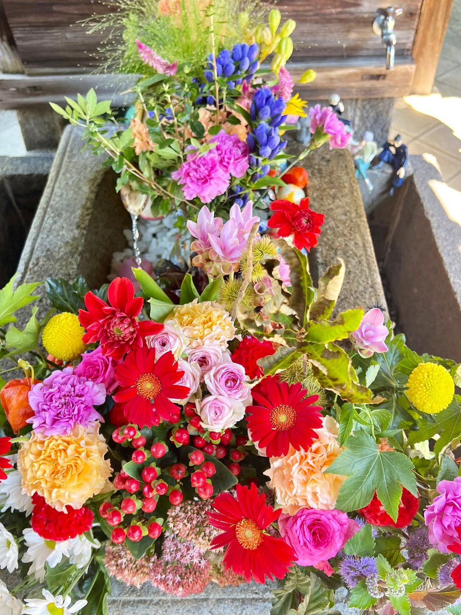kenken_kyoto_'s tweet photo. 京都 勝林寺 ✨
花手水💐
@shourin_ji
#勝林寺 #花手水 #flowerwater #shourinji #花手水めぐり #花手水舎 #花手水鉢 #寺社仏閣 #花手水好きな人と繋がりたい #京都 #京都観光 #京都旅行 #京都散策 #京都旅 #kyoto #京都観光スポット #京都巡り #花 #frower #frowers #はなまっぷ #夏 #呪術廻戦 https://t.co/wYg4LxDpJH