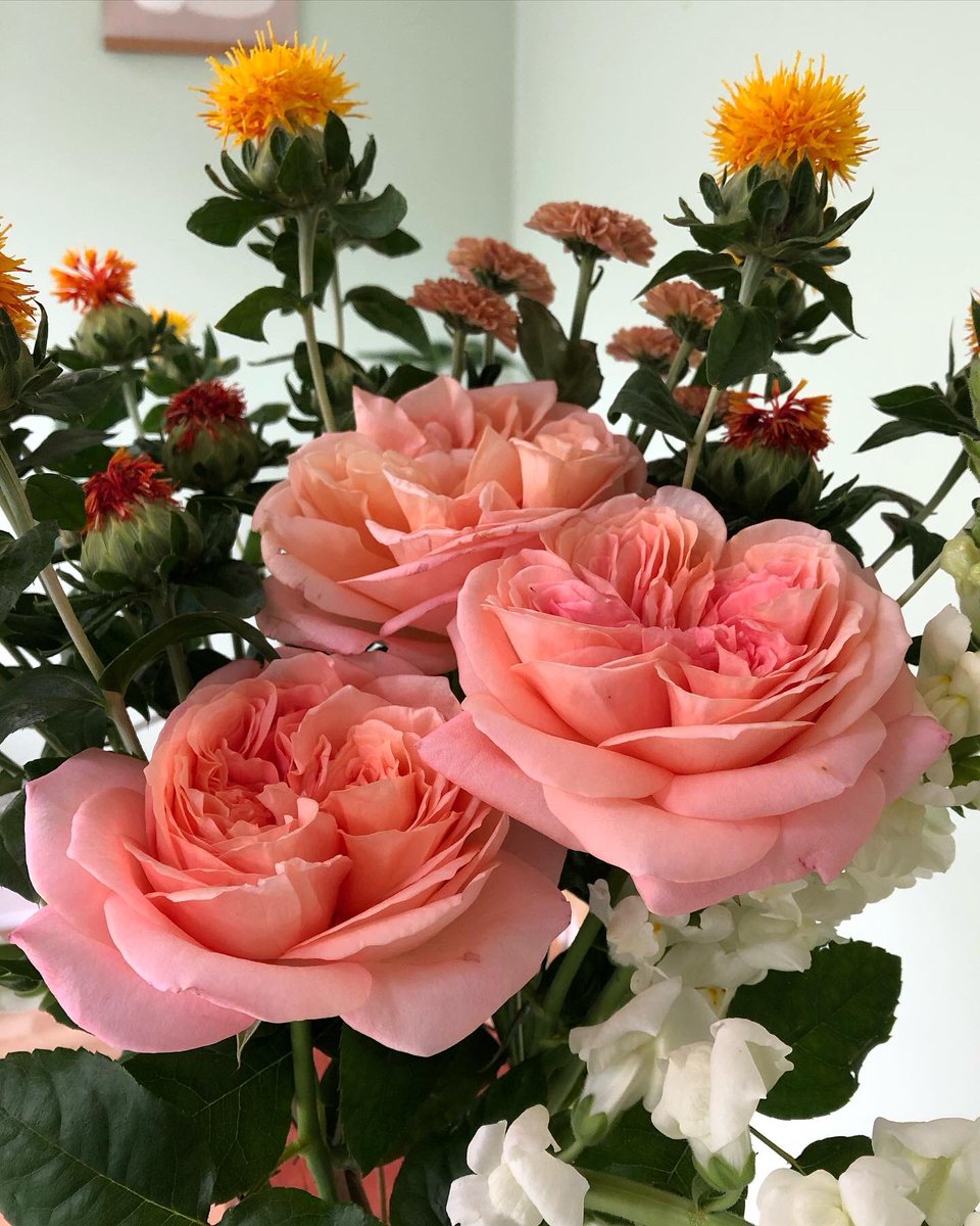 sheishine's tweet photo. 今週のサブスク花(の一部)。癒される…。
Some of this week’s flowers. They make me feel good…
#サブスク #花 #バンクーバー #バラ #flowers #bearsblooms #rose #flowersubscription #vancouver 🇨🇦 https://t.co/3RxXjwScjC
