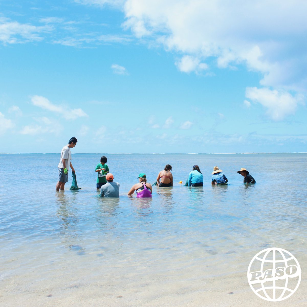 small acts, when multiplied by many, can transform the world 🌎💓 we are PASO • #gobows #universityofhawaiiatmanoa #uhm #uhmanoa #takemetomanoa #youruhmanoa #PUBA #publicadministration #publicadmin #mpa #publicpolicy #publicservice #hawaiipolitics #hawaii #hawaiilife