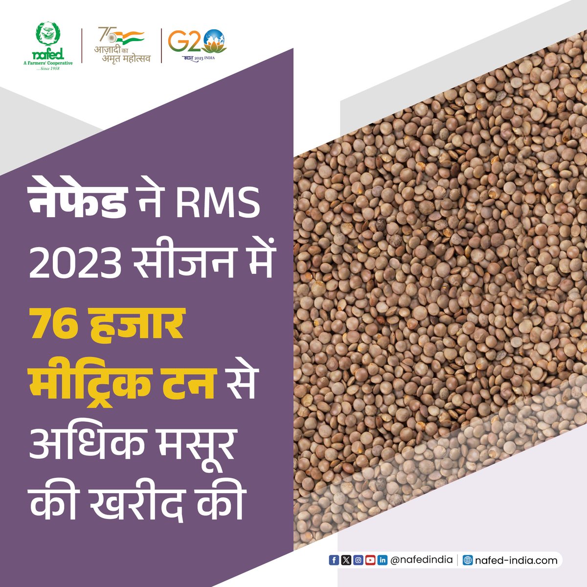 nafedindia's tweet photo. #MasoorProcurement #Masoor #masoorRate #masoorMarket #AgricultureMarket #masoorMSP #masoorFarming #rabi #monsoon #NAFED #agricultureindia #cooperativefarming #indianfarmers #EmpoweringCooperatives #SahakarSeSamriddhi #cooperativesociety
@PMOIndia @nstomar  @AmitShahOffice @SecyAgriGoI  @PiyushGoyalOffc @RiteshIAS @DrBijender @MinOfCooperatn @AgriGoI @PIB_India