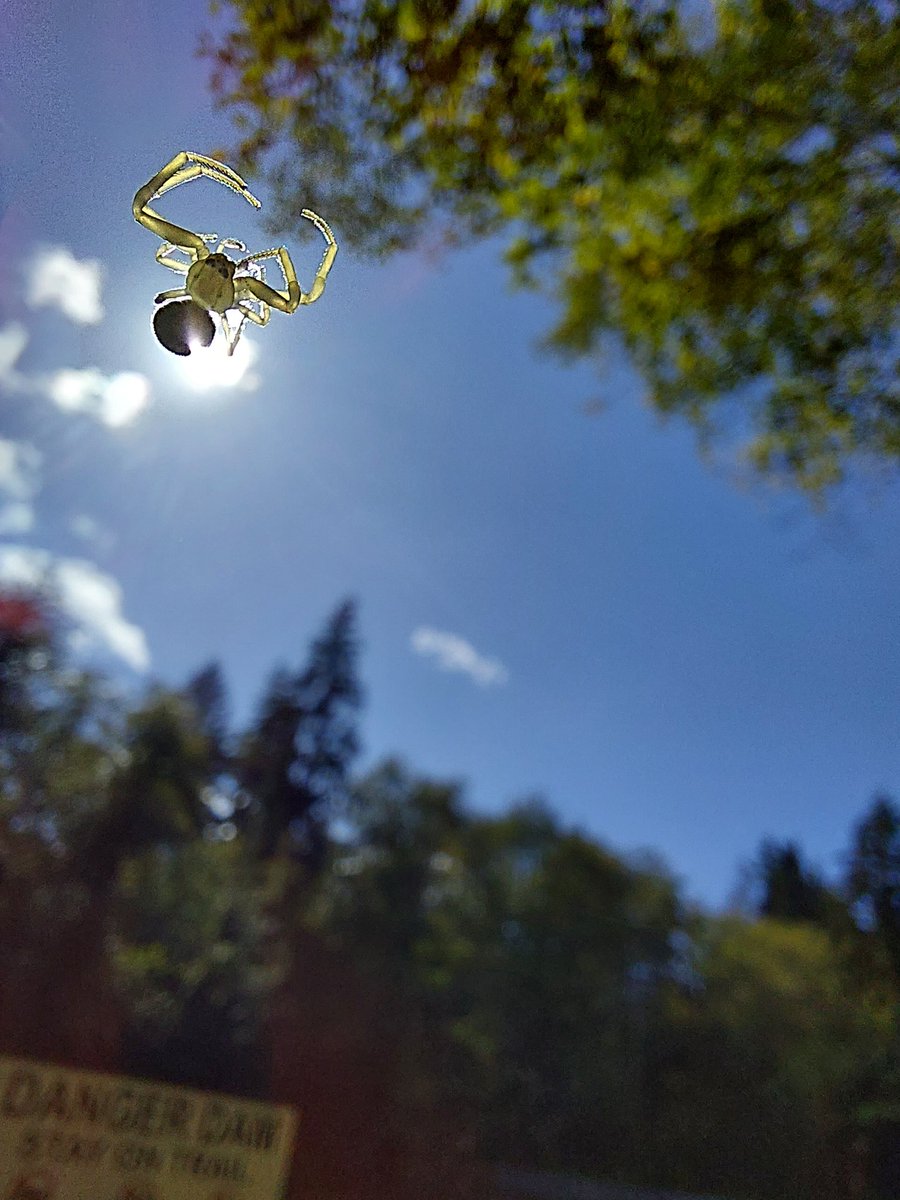 rain_biscuit's tweet photo. Just a coming back to life paintle in some nature https://t.co/G3PTY0XcIR