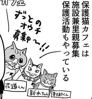 ねこかつの推しネコ
花道くん
日進店には伺ったことないのですがいつかお会いしたい
似顔絵うまく描けた気がする

新水ちゃんと幸太郎くんは川越店にいるよ 