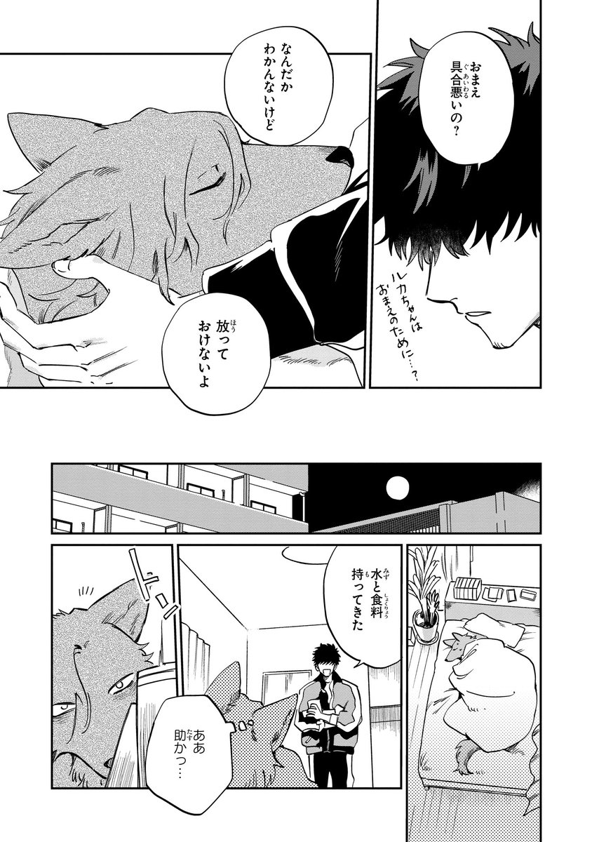 【ジーンピクシブ本日更新!!】
オオカミ男とのらいぬ男 第12話
https://t.co/HuwQTmGTIA
マキヤマにルカの狼姿を見られちゃったナノー!?
と思いきや、なんとかごまかせそう…?
(ピクにゃん)