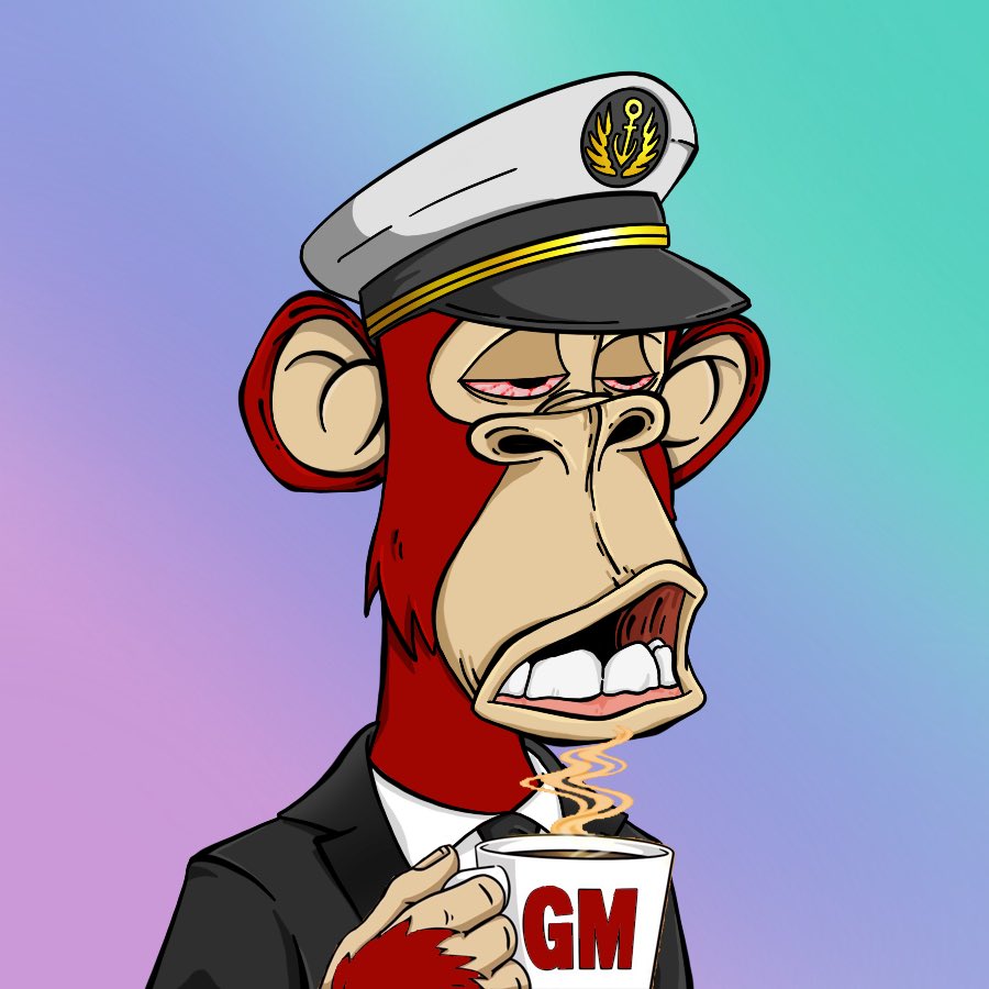 Cpt. Cannadi tweet media