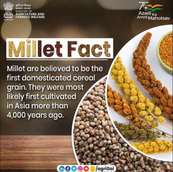 RailNf's tweet photo. #MilletsFactCheck @IYM2023
#internationalyearofmillets
#IYM2023
#YearofMillets https://t.co/M5t1o9xZEd