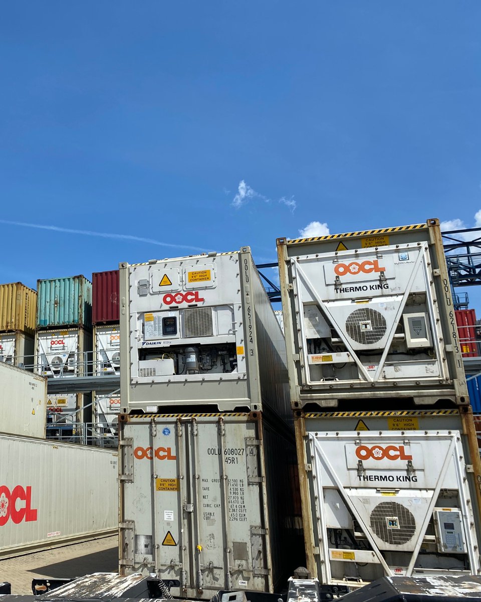 Hoe kan je producten koel houden tijdens transport? 🍟❄️ Van frietjes tot vloeistoffen, reefer containers zorgen ervoor dat jouw producten op hun beste blijven, ongeacht de buitentemperatuur. Alleen dit jaar al hebben we met trots 2.600 reefer containers of 5.200 TEU vervoerd! 💪