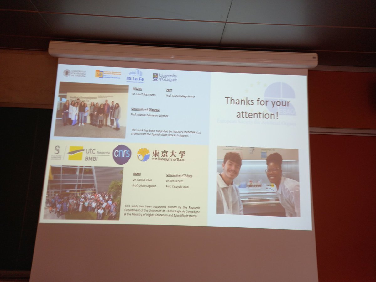 Gloria Gallego Ferrer tweet media