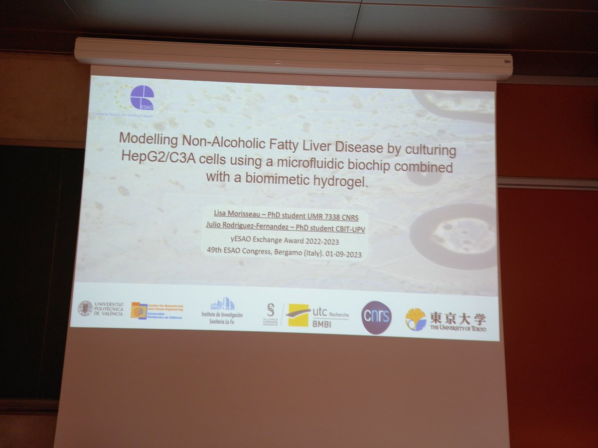 Gloria Gallego Ferrer tweet media