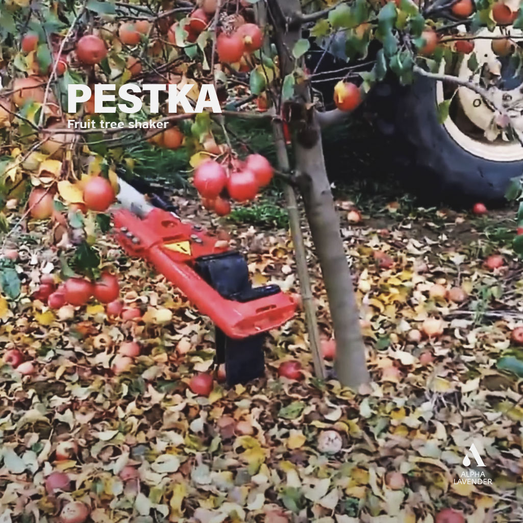alphalavender's tweet photo. 😎 #PESTKA power 💪
designed to harvest #apples #olives #almonds &amp; other #stonefruits

🤙+306997006751 

#καρύδια #καρυδιές #καρυδεώνας #αμύγδαλα #αμυγδαλεώνας #ελιά #αμυγδαλιά #καρυδιά #πυρηνόκαρπα #δενδροκαλλιέργειες #συγκομιδή #agriculturalmachinery #FarmMachinery https://t.co/kLwB96aVM3