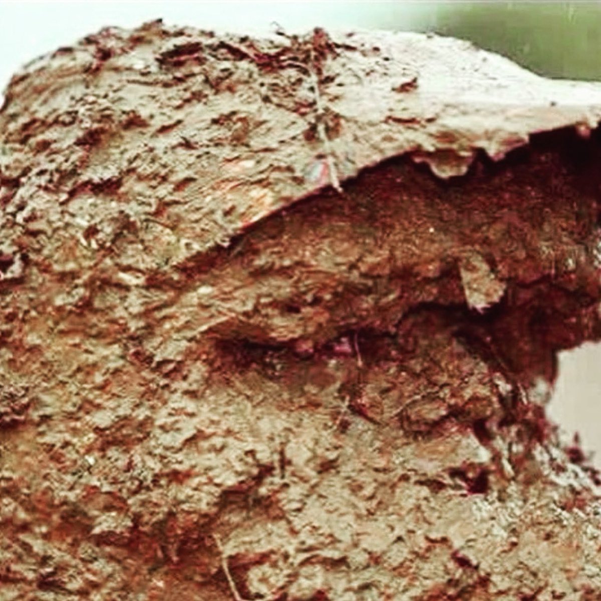 JaviVico71 tweet media