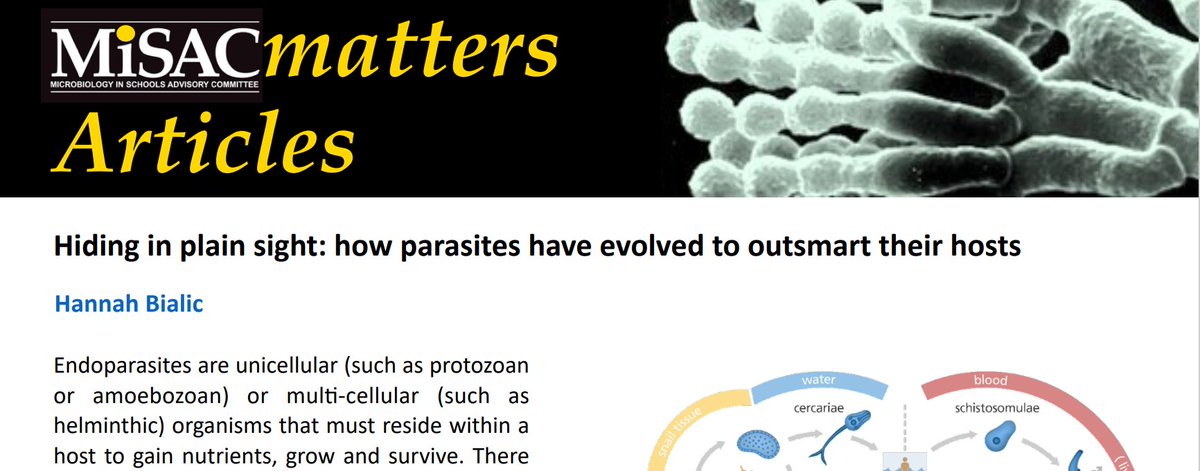 Brilliant article "Hiding in plain sight" to discuss how parasites can outsmart their hosts. A great addition to the AH Biology Parasitology unit in Scotland. misac.org.uk/article-downlo…