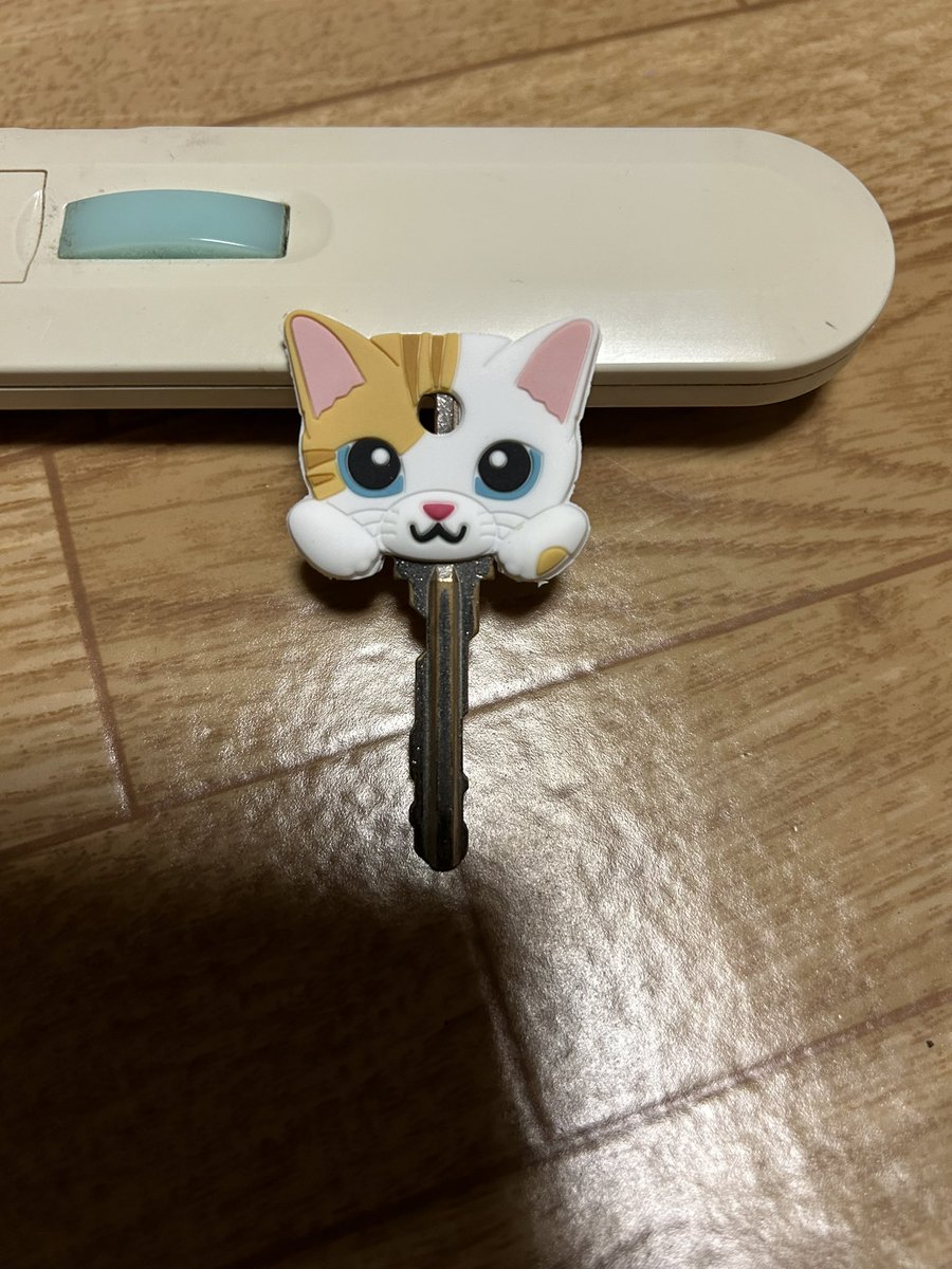 YukihiroYuzawa's tweet photo. 😄ホ-ムセンターで売っていてカワイクて買っちゃったりして😆って感じ❓😉
#猫のいる暮らし
#猫のいるしあわせ
#ニャンコ
#猫
#keycover https://t.co/uprAZVUpS5