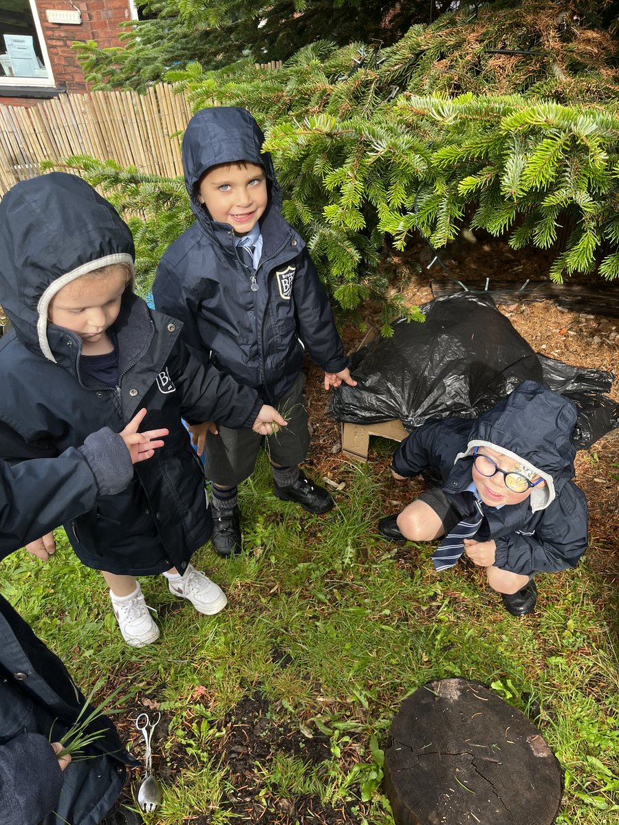 BrabynsPrep's tweet photo. This week children in Reception have been creating their very own Hedgehog hotel in our outdoor area. They worked as a team to cut out holes into the box and collected a range of different objects to encourage our spiky friends to venture inside! #BPSNurture #BPSReception #EYFS https://t.co/VZx7BdjhXf