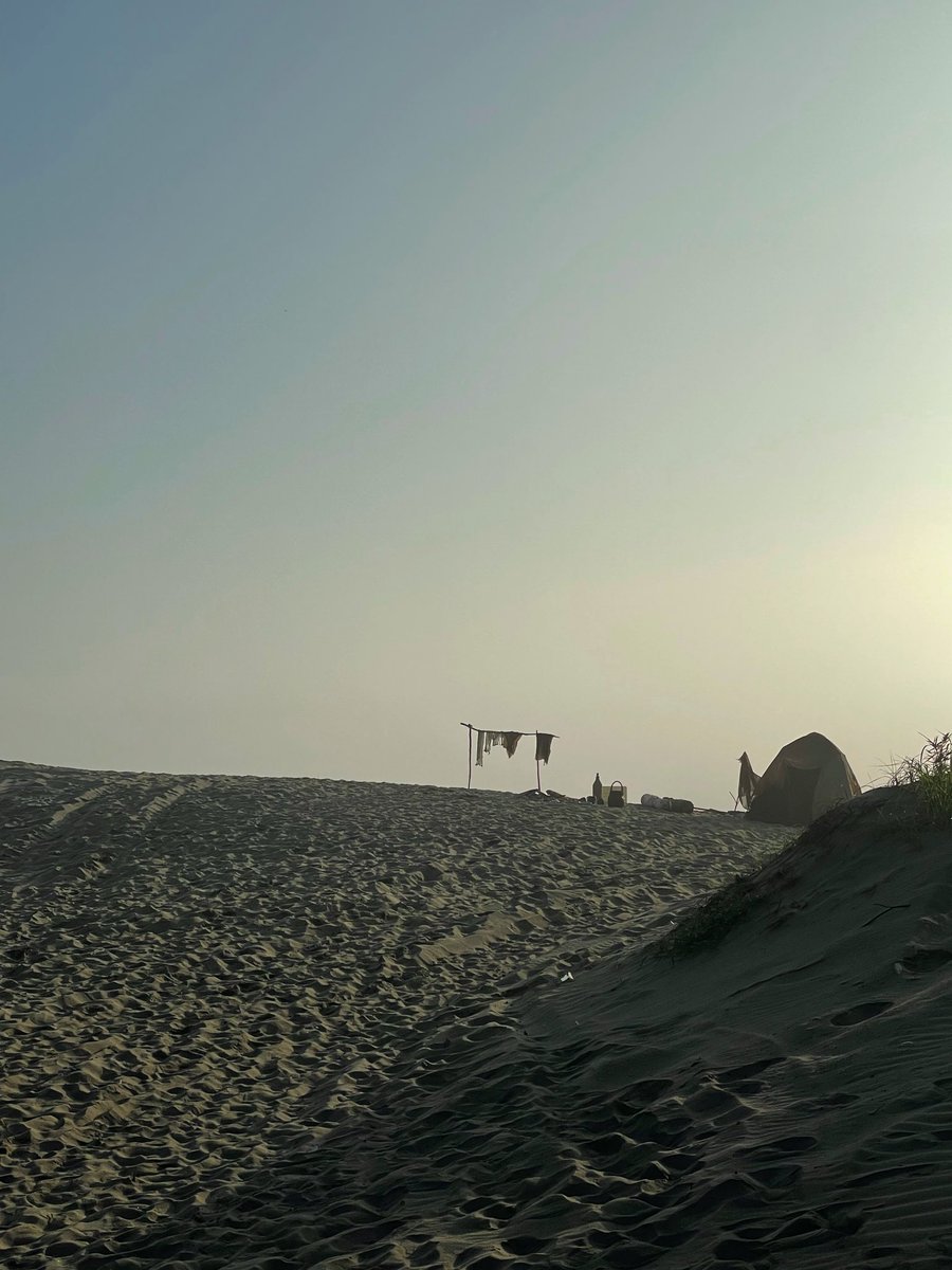 King & Prince tweet media