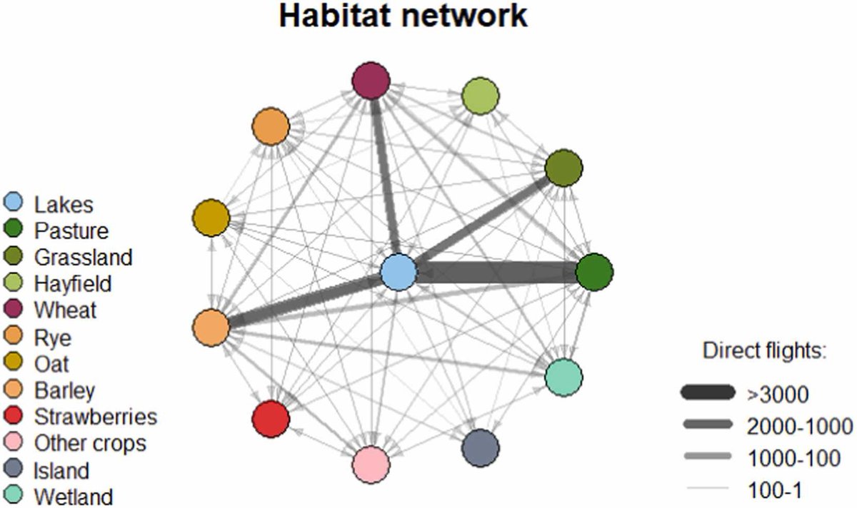 Andy J. Green tweet media