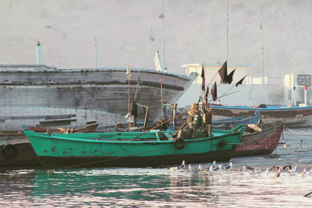 Demezar tayab gwadar
.
.
.
.
.
@shahid__majeeed 
.
.
.
#gwadar #old #tayab #balochistan