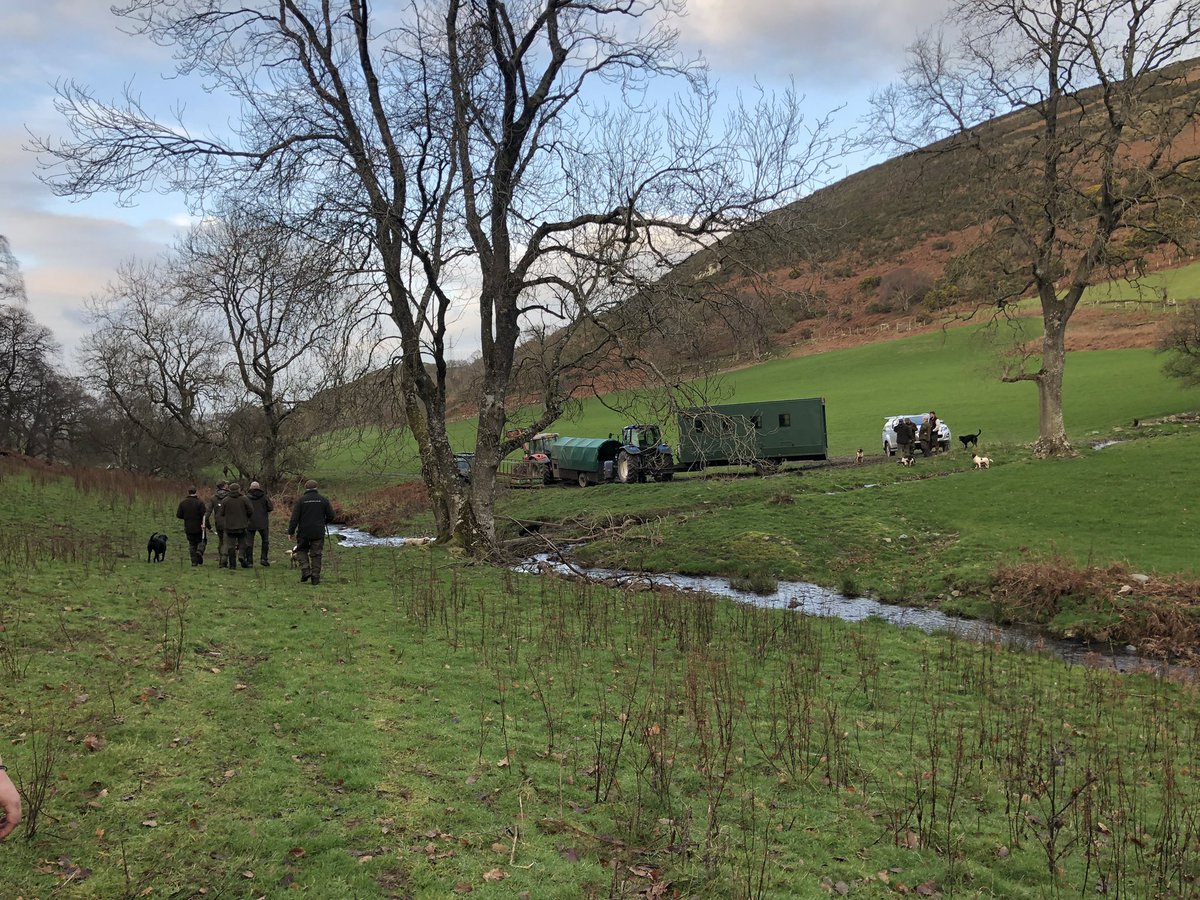 grj243's tweet photo. With a few local ish #shoots back up and going this #season we are going to be a couple of #pickersup light for days at the start of the week. If your in or near #NorthWales and fancy joining a great bunch of guys and girls drop me a DM. #slingfillers need not apply https://t.co/r1RM4xGXog