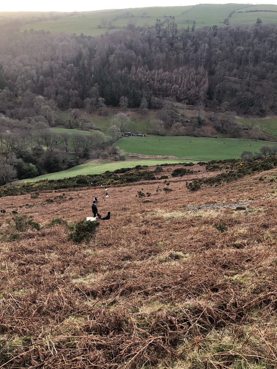 grj243's tweet photo. With a few local ish #shoots back up and going this #season we are going to be a couple of #pickersup light for days at the start of the week. If your in or near #NorthWales and fancy joining a great bunch of guys and girls drop me a DM. #slingfillers need not apply https://t.co/r1RM4xGXog