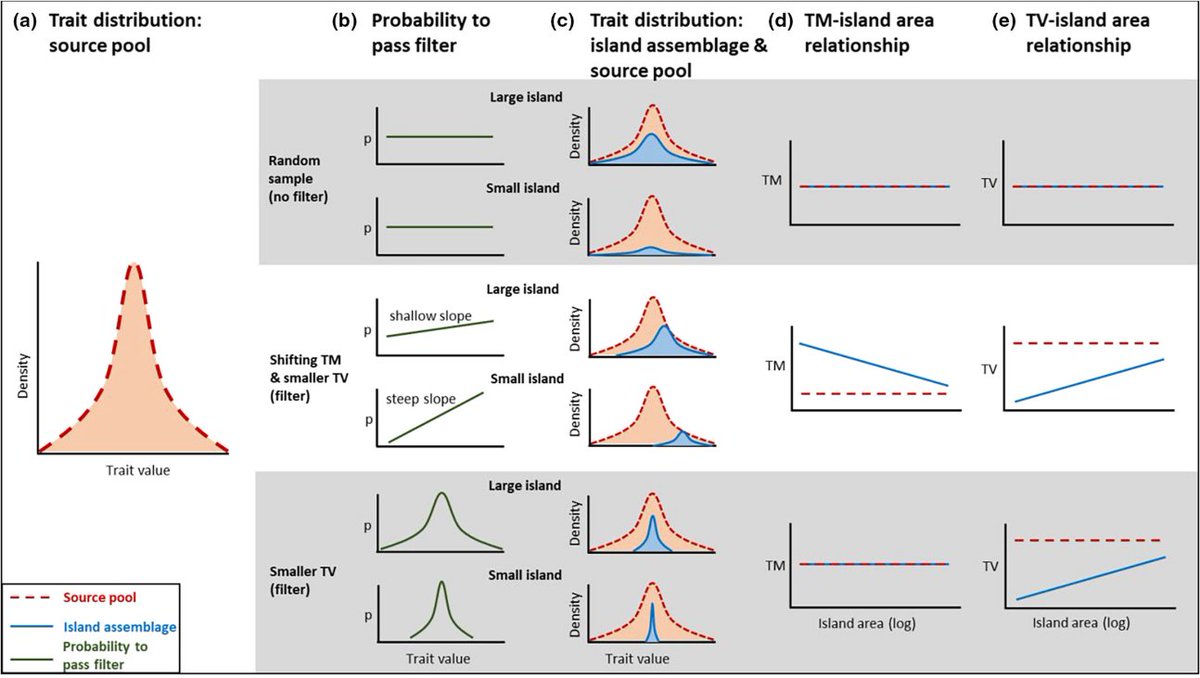 How to detect and describe filters shaping island communities: a trait-based conceptual framework 🌸🏝 doi.org/10.1111/jbi.14…