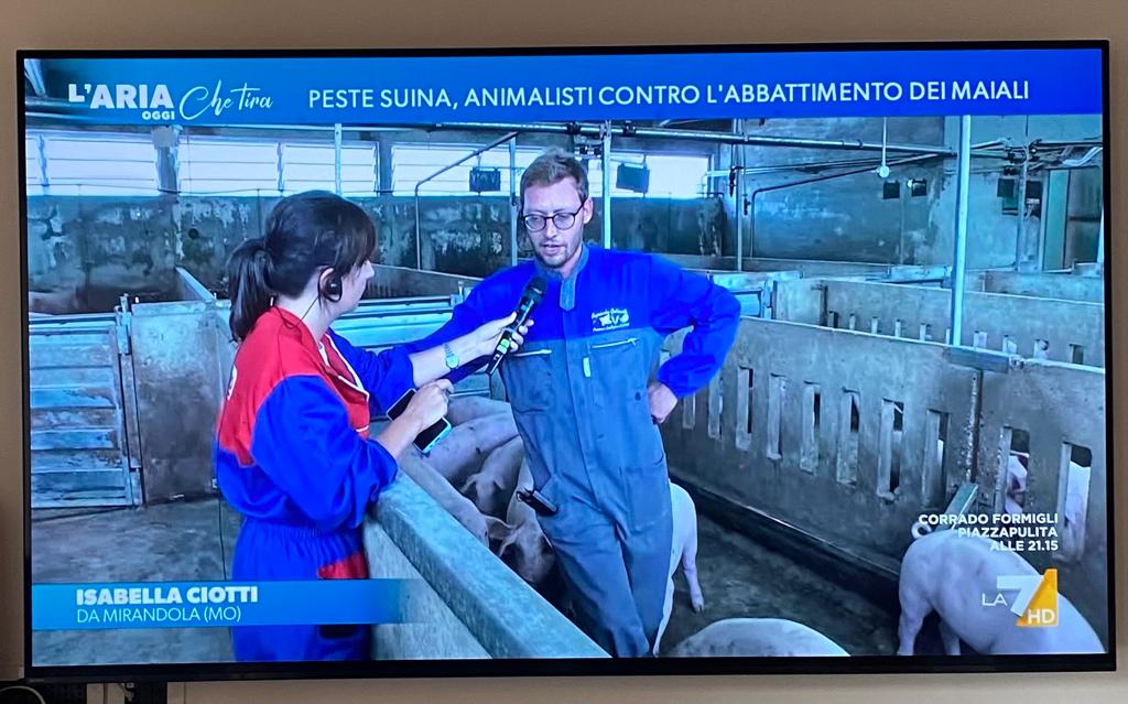 🐷<a href="/La7tv/">La7</a> su rifugio Cuori Liberi: all'<a href="/Ariachetira/">L'aria che tira</a> si dice che i santuari possono essere elementi di contagio, ma in diretta giornalista <a href="/IsabellaCiotti/">Isabella Ciotti</a> e allevatore sono dentro allevamento senza i dispositivi adeguati di biosicurezza, che al rifugio erano stati invece attuati!👇