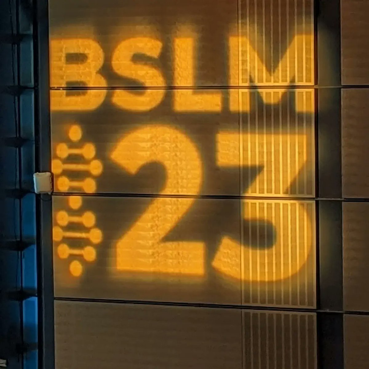 DrZaraQuail tweet media