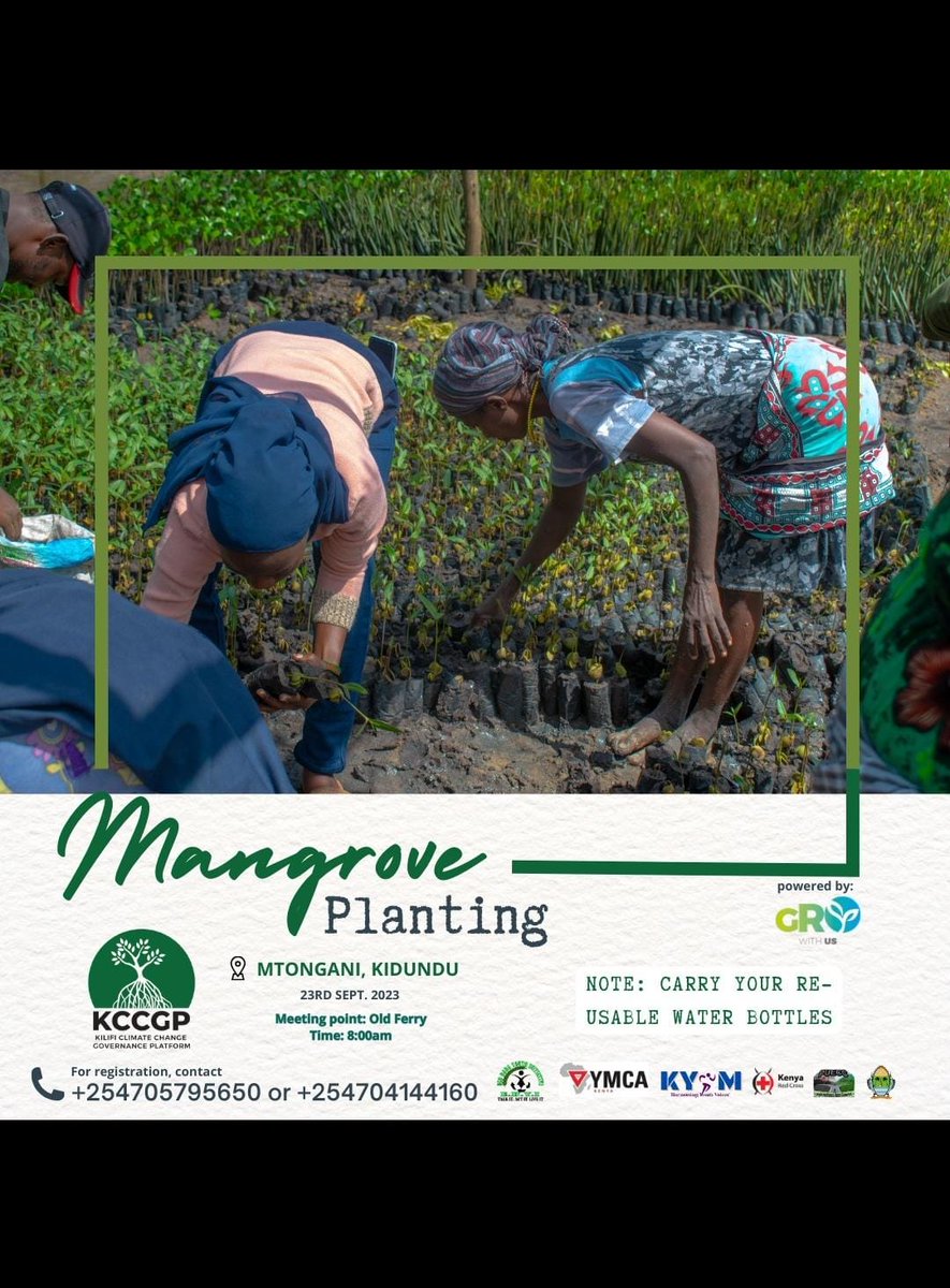 Manuh_Mmoja's tweet photo. @malikofori This Saturday let's meet at Kidundu Mtongani for mangrove planting #60MillionMangroves #KCCGP #MOSquad https://t.co/bU8gdH0XJl