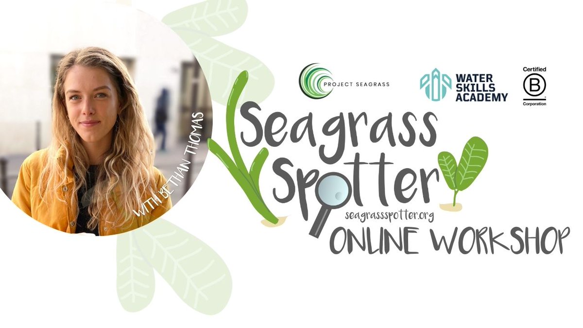 Our SeagrassSpotter Online Workshop with Bethan Thomas from @projectseagrass is now available to watch for those of you who missed it or would like to share it with others: waterskillsacademy.com/events/webinars
#seagrassconservation #seagrassspotter #projectseagrass #paddleboarders #supclub