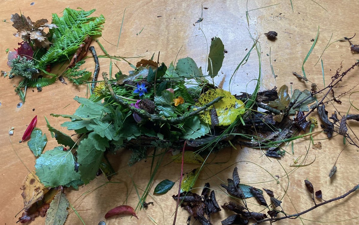 Willow Park C of E Primary School tweet media