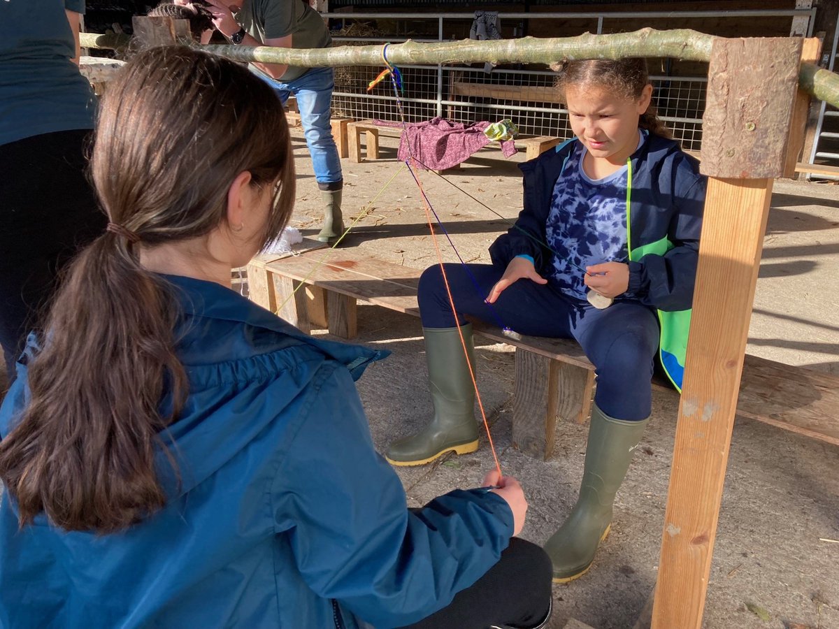 Willow Park C of E Primary School tweet media