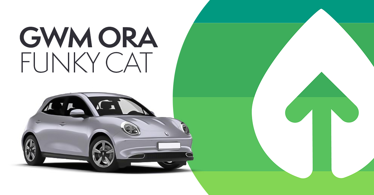 GoGreenLeasing's tweet image. Looking for a budget-friendly #EV? 🍃

The excellent value GWM Ora #FunkyCat is currently in stock and ready for quick delivery! 🐈

See our stock offer here &amp;gt; gogreenleasing.co.uk/car-leasing/gw…

Read about the Funky Cat here &amp;gt; gogreenleasing.co.uk/blog/five-funk…