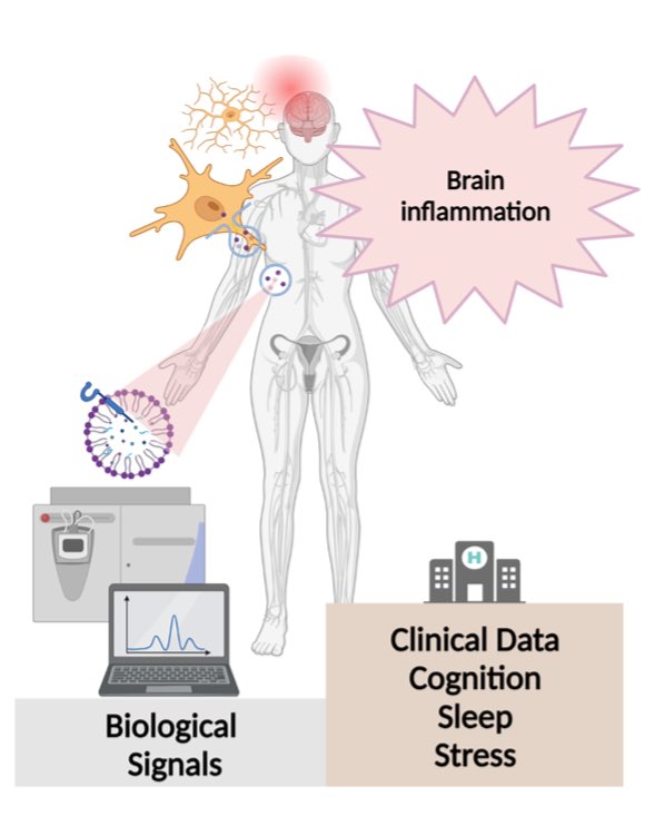 Cristina Legido-Quigley (@drlegidoquigley) on Twitter photo We have a #PhD project in Kings College London, aiming to diagnose brain inflammation via 🧠 blood molecular tests, supervisors <a href="/anarmateos/">Ana Rodriguez-Mateos</a> & myself, to apply <a href="/KCL_MRCDTP/">KCL MRC DTP</a> start 2024 please send us an email or see the link 👇🏻 & other fab projects in the catalog We have a #PhD project in Kings College London, aiming to diagnose brain inflammation via 🧠 blood molecular tests, supervisors <a href="/anarmateos/">Ana Rodriguez-Mateos</a> & myself, to apply <a href="/KCL_MRCDTP/">KCL MRC DTP</a> start 2024 please send us an email or see the link 👇🏻 & other fab projects in the catalog
