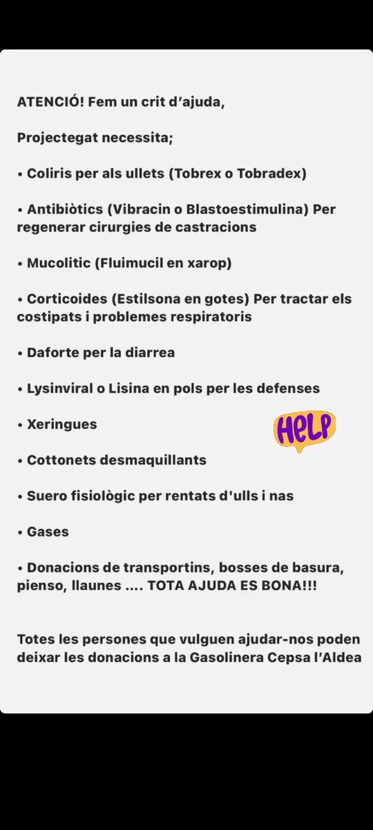 L'Aldea: Projecte Gat tweet media