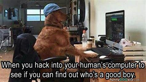 🐈 Katoshi Katamoto tweet media