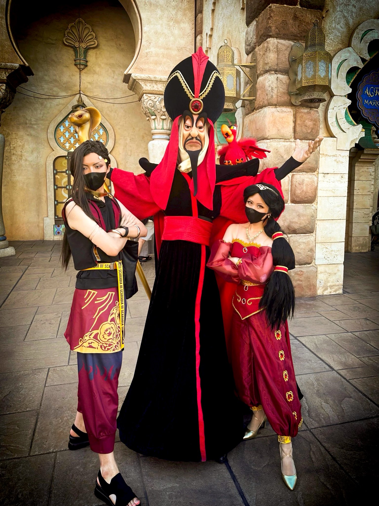 ジャスミン 仮装 Dハロ リミテッドドール Reo🥀 on X: 