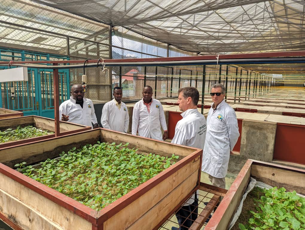 <a href="/SPF_ikigega/">SPF-Ikigega</a> The company that produces potato seeds using the technology known as aeroponic greenhouse is very grateful to the visitors <a href="/kampani/">nouroudine</a> and it also encourages other companies, cooperatives or individuals to visit them and share the best way to produce potato seeds.