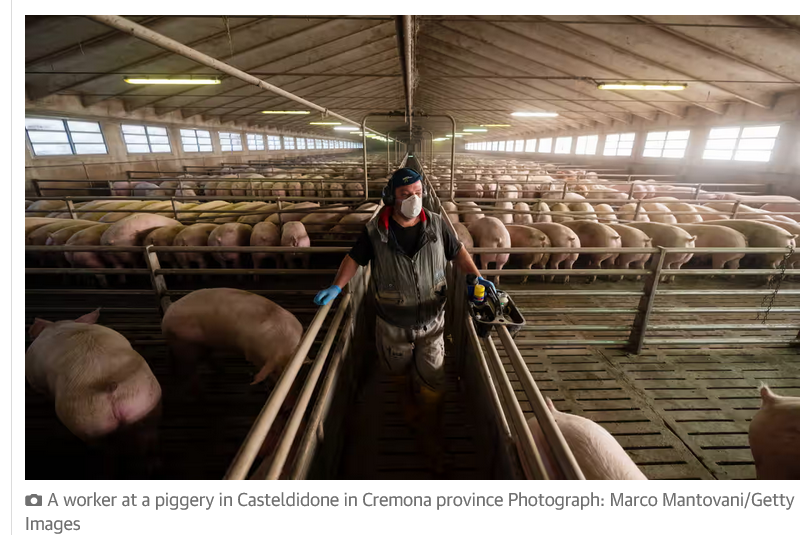 Al <a href="/guardian/">The Guardian</a> hanno scoperto ciò che i nostri politici trascurano: l'intollerabile concentrazione di fonti emissive in pianura padana. Per i nostri, al governo di Lombardia e Italia, bisogna 'proteggere la natura con dentro l'uomo' Chissà che significa. theguardian.com/world/2023/sep…