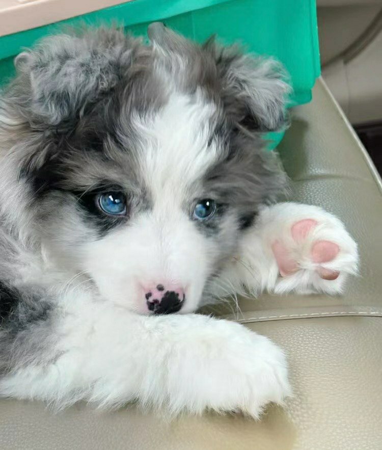 So cute 🤗🥰🤗