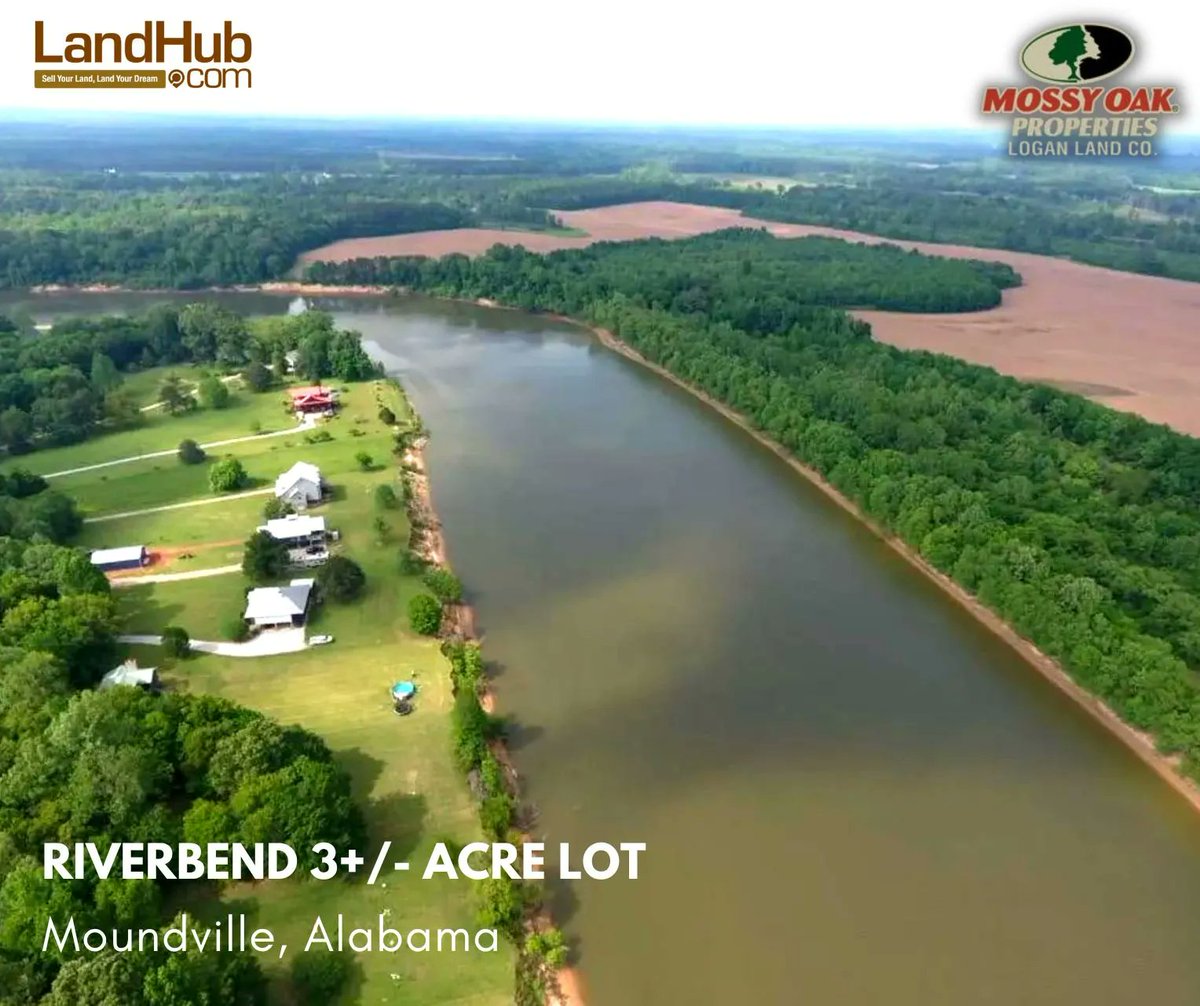 landhub's tweet photo. π‘Build Your Dream Home by the Black Warrior River: 3+/- Acres in Riverbend Farms Await! #riverfrontproperty #buildhome #landforsale #Alabamarealestate
MORE INFO π https://t.co/dH9wXhn6ZR https://t.co/lL3IMa5a1R