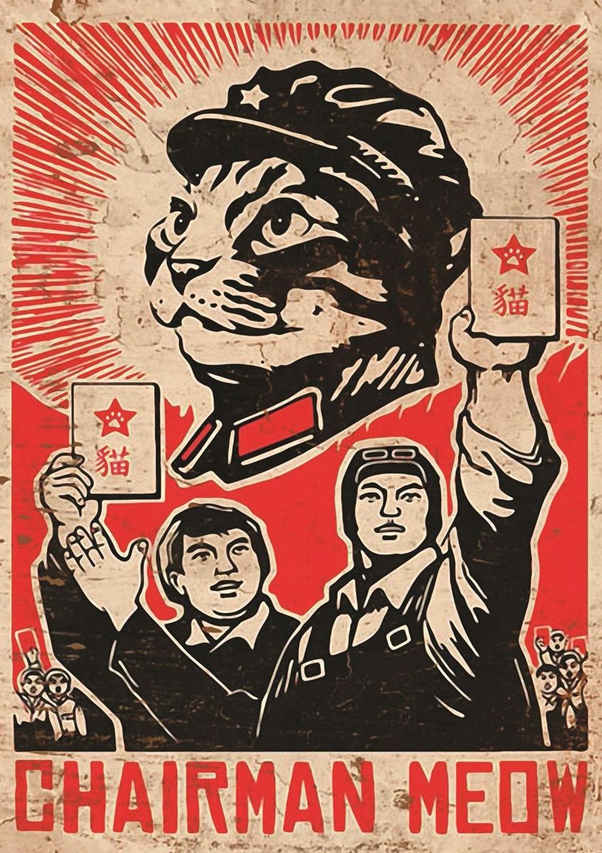 🐈 Katoshi Katamoto tweet media