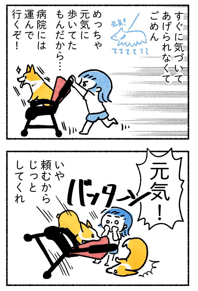犬の散歩中に血を見た話②
(2/4) 