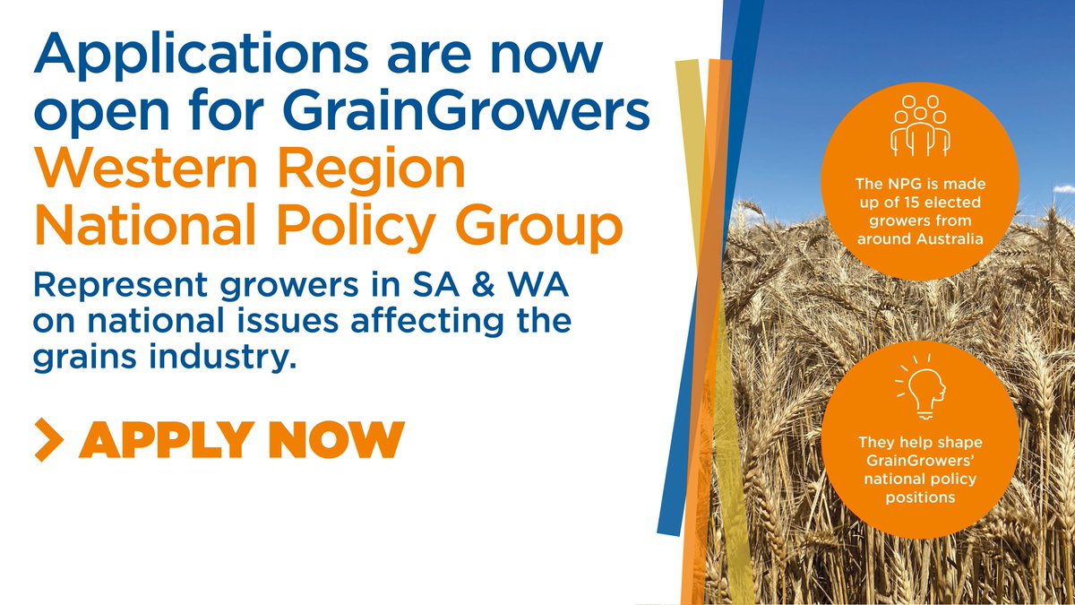 GrainGrowersLtd's tweet photo. Western Region APPLICATIONS OPEN! 📣

SA + WA growers - Are you keen to be a part of developing a more profitable and sustainable grains industry?

GrainGrowers' National Policy Group (NPG) shapes policy and represents grower views.

➡️ Find out more: https://t.co/QpbOzUFuZK https://t.co/FKwhyycC9d