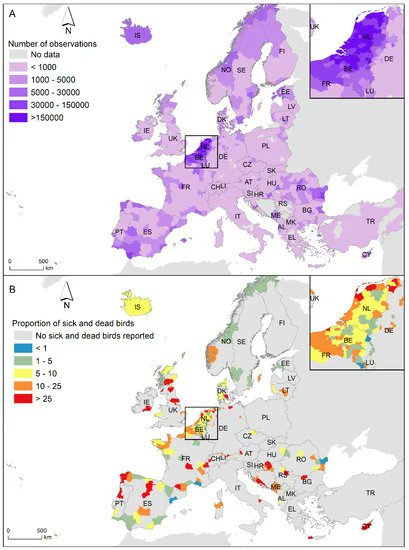"Can Citizen Science Contribute to Avian Influenza Surveillance?"
How a platform such as <a href="/observation/">Observation</a>, where records of found dead birds are registered by volunteers, can help with outbreak detection.
mdpi.com/2076-0817/12/9…