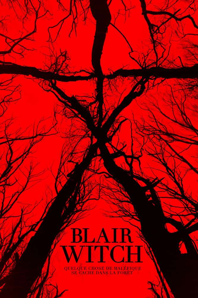 Blair Witch est sorti ce jour il y a 7 ans (2016). #CallieHernandez #ValorieCurry - #AdamWingard choisirunfilm.fr/film/blair-wit…