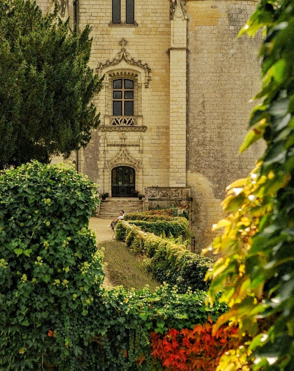 🔴 𝗩𝗢𝗧𝗥𝗘 𝗢𝗘𝗜𝗟 👁 | Un joli jeu d'ombre et de lumière lors d'une journée orageuse ! Nous aimons beaucoup cette vue sur le château neuf depuis les remparts. Et vous ? ♥️ #JeudiPhoto #ValdeLoire #Castle

©️ ambre.pn (via Instagram)