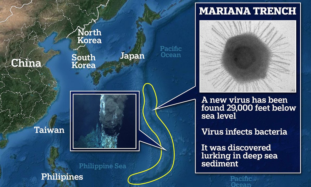 CaraSantaMaria's tweet photo. Previously unknown virus has been uncovered from the depths of the Mariana Trench. 😲
#Virology #Bacteriophage #Virus #DeepestOcean #MarianaTrench #Phage #Lysogenic #Bacteria
https://t.co/DwmnLzQhmz via @CosmosMagazine https://t.co/sLmlDlCFSj